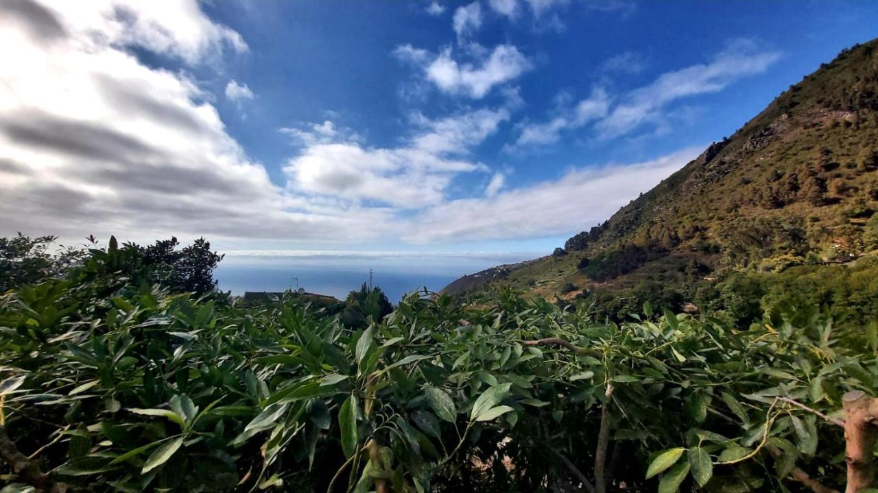 Casa Rural La Resbala - Casa Tajinaste La Orotava Buitenkant foto